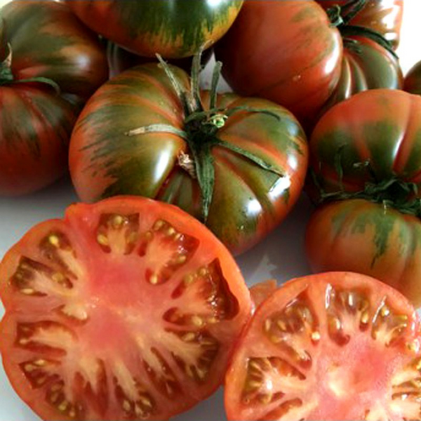 Tomate Raff