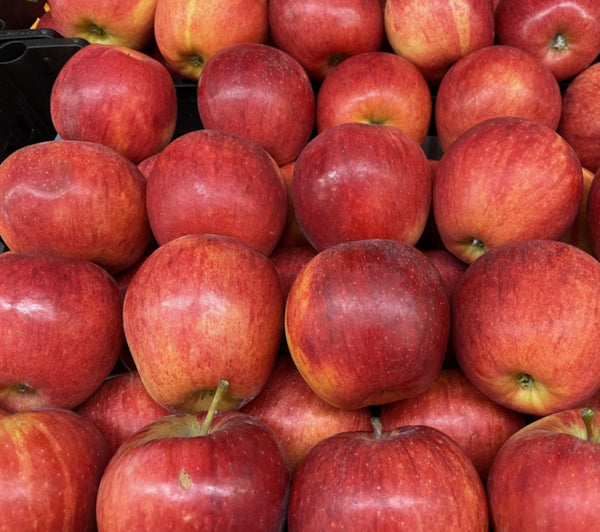 Manzana Royal
