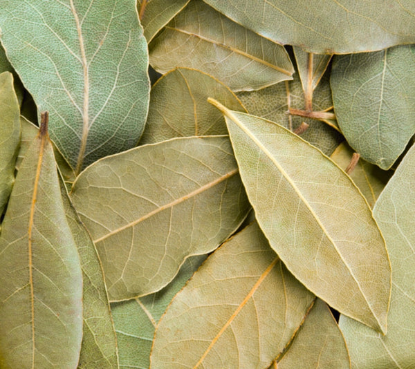 Bolsa de Hojas de Laurel (20g)