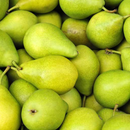 Ercolina Pear
