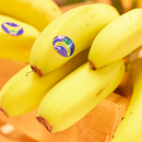 Canary Islands Banana