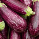 Striped Eggplant