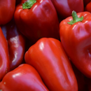 Pimiento Rojo