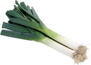 Leek Pack of 3